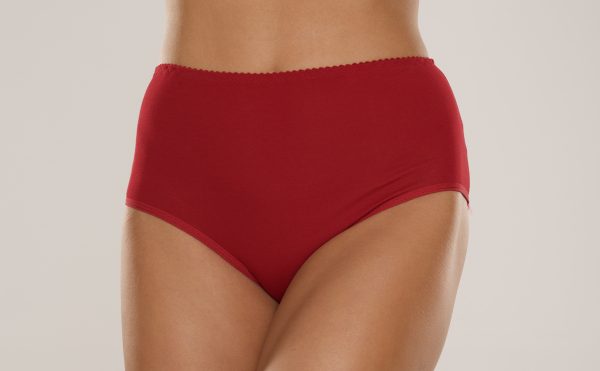 Slip Sara – De Lafense – Ansicht 2