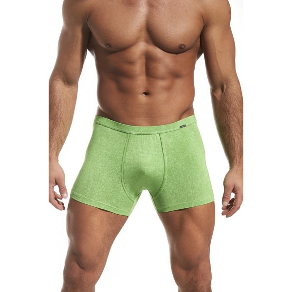Boxershorts Authentic Perfect – Seladongrün